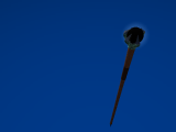 staff